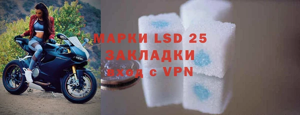 индика Пестово