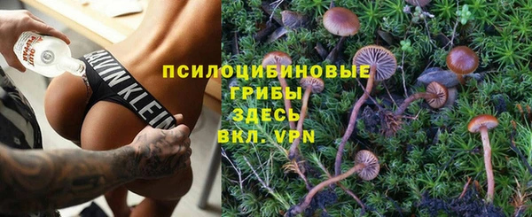 гидропоника Алексин