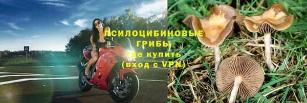 Альфа ПВП Алзамай